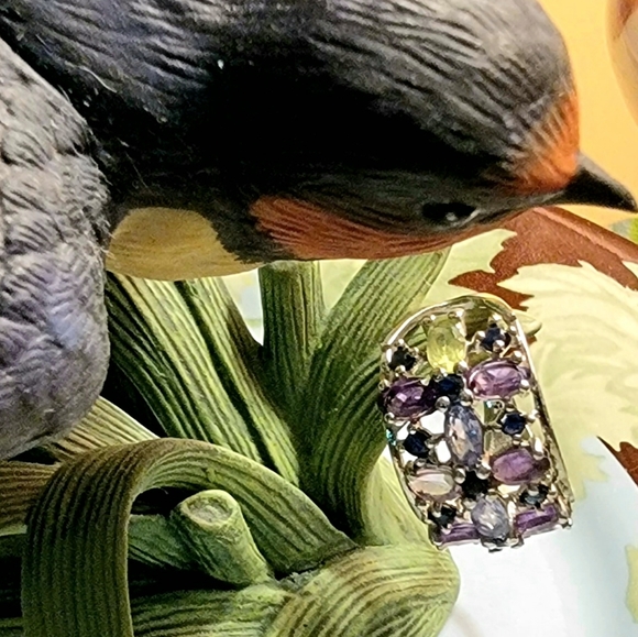 COPY - 🦚  SS Multi-Gemstone Ring - Picture 10 of 16